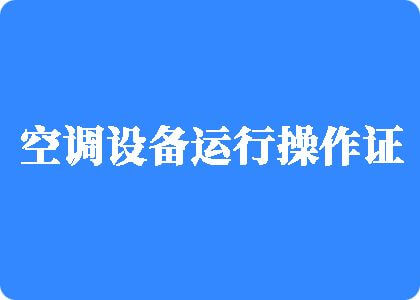 操逼视频网站免费看手机制冷工证